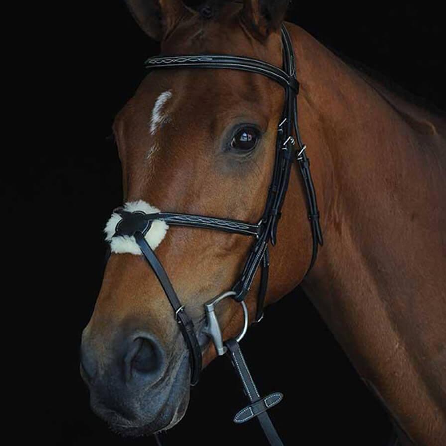 Collegiate Mono Crown Figure 8 Bridle