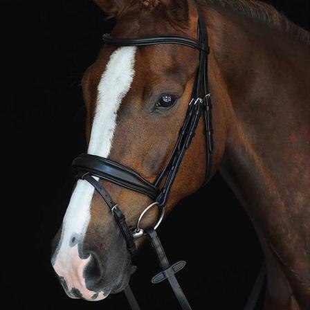 Collegiate Mono Crown Raised Padded Flash Bridle