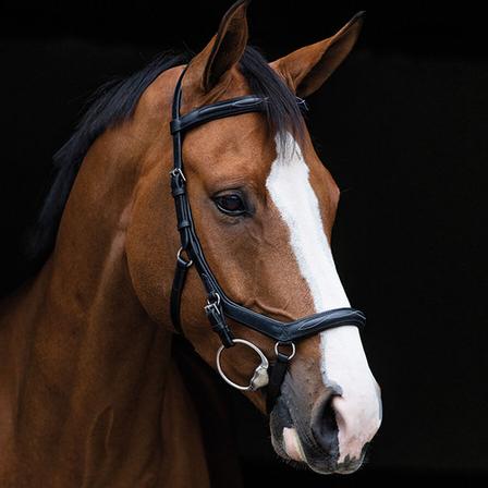 Rambo Micklem Deluxe Competition Bridle