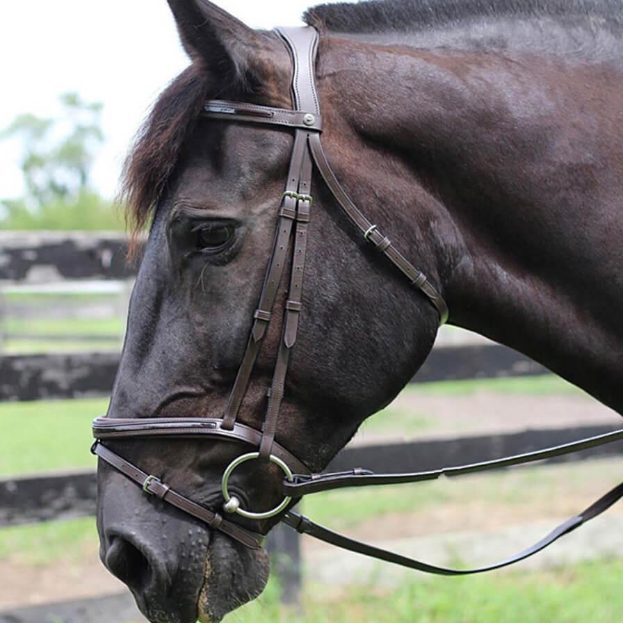 Henri De Rivel Piaffe Mono Crown Bridle W/Flash Nose Band With Patent Leather