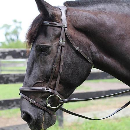 Henri de Rivel Piaffe Mono Crown Bridle w/ Flash Nose Band with Patent Leather