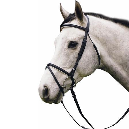 Henri de Rivel Padded Dressage Bridle with Flash And Web Reins