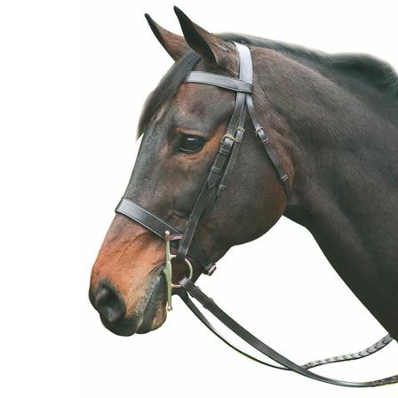 Henri de Rivel Pro Hunt Bridle