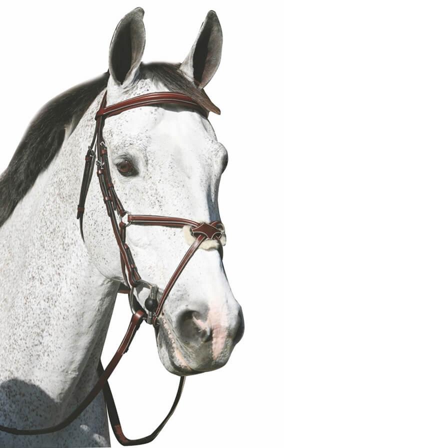 Henri De Rivel Pro Mono Crown Raised Figure 8 Bridle With Rubber Reins