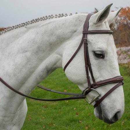 KL Italia Millbrook Bridle