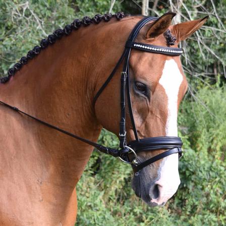 Larkspur Bridle with Reins
