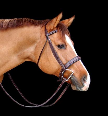 Red Barn Tryon Bridle AUSTRALIAN_NUT