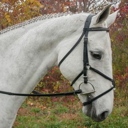 Red Barn Phoenix Bridle