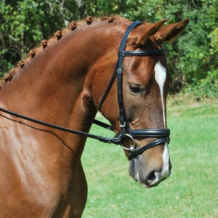 Red Barn Travers Bridle with Flash
