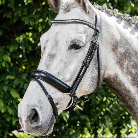 Prestige Italy E134 Dressage Bridle