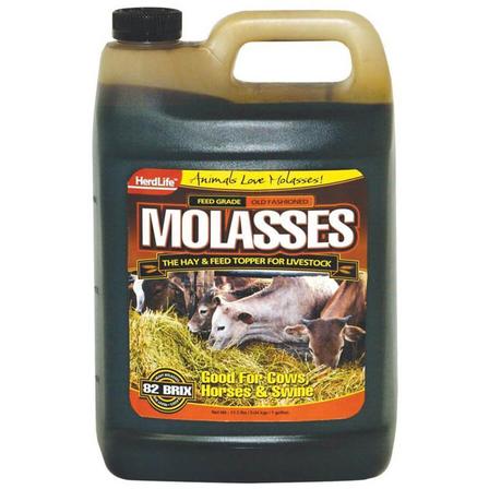Molasses - Gallon