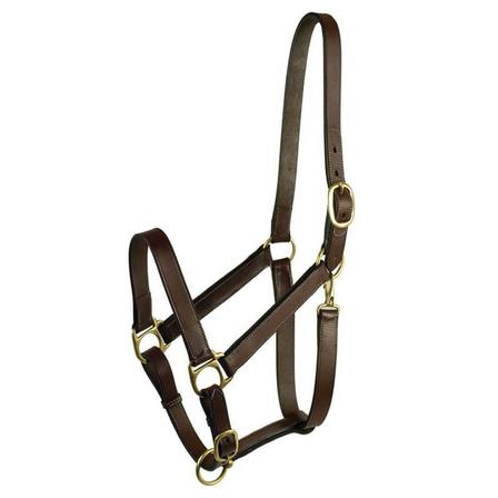 Gatsby Adjustable Halter with Snap - Horse