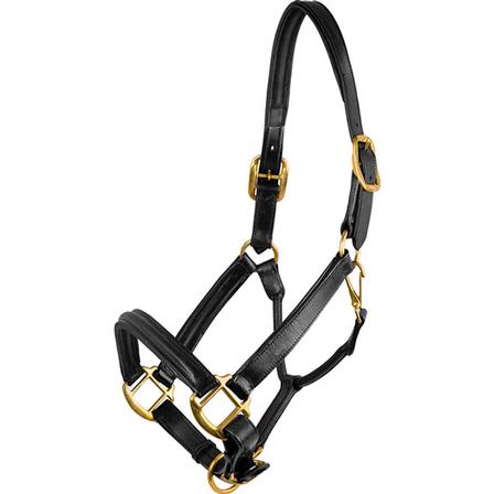 Flex Rider Raised Leather Halter
