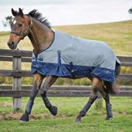 Saxon 600D Lite Turnout Sheet - Standard Neck