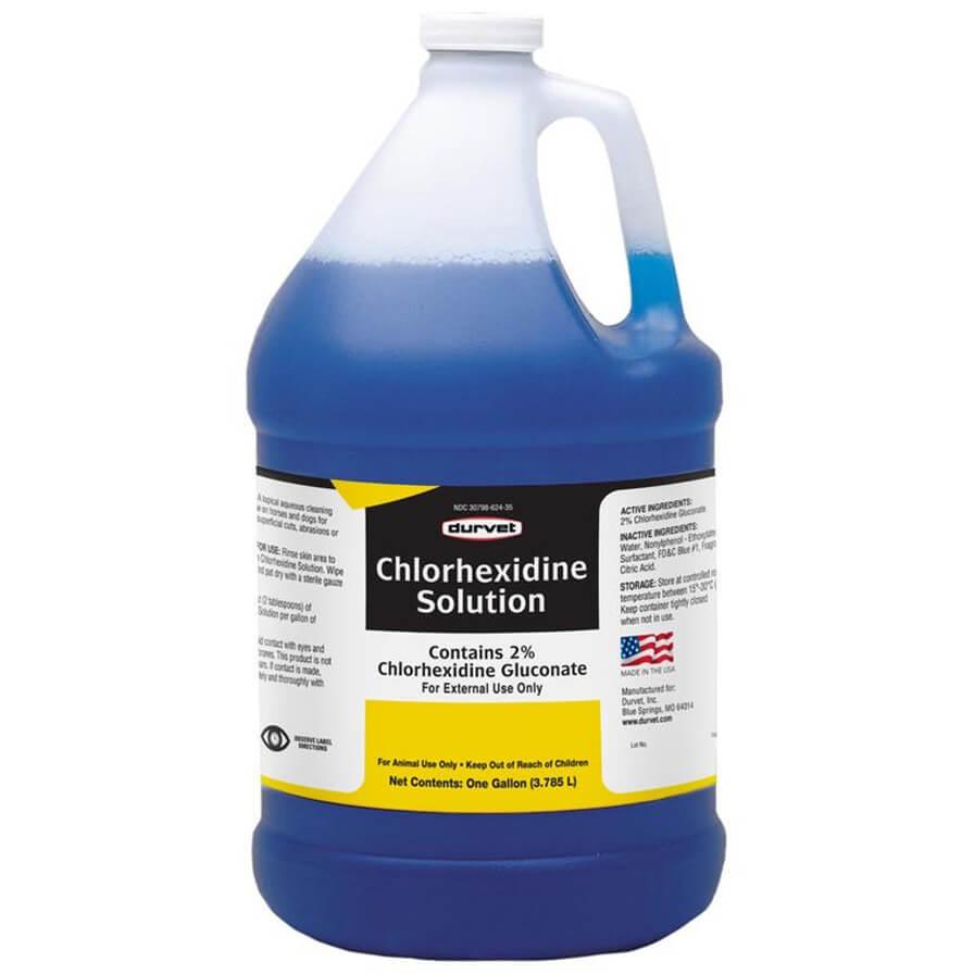  Chlorhexidine 2 % Solution - 1 Gallon