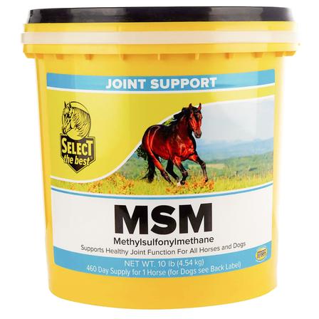 MSM Powder - 10 Lbs