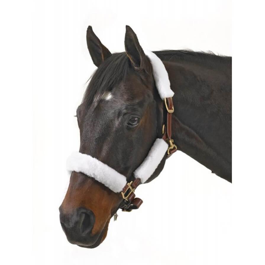 Centaur ® Fleece Halter Tube Kit