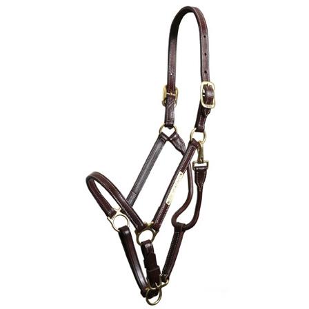 Walsh Sportsman Halter