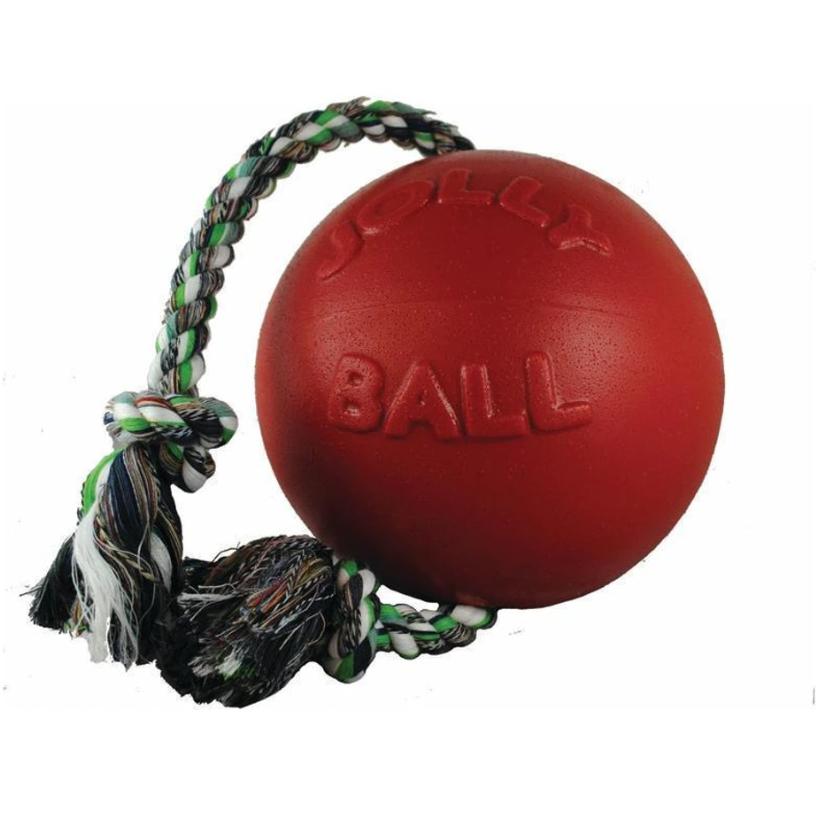 Romp- N- Roll Dog Toy - 4.5 Inch