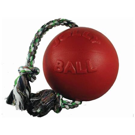 Romp-N-Roll Dog Toy - 6 Inch