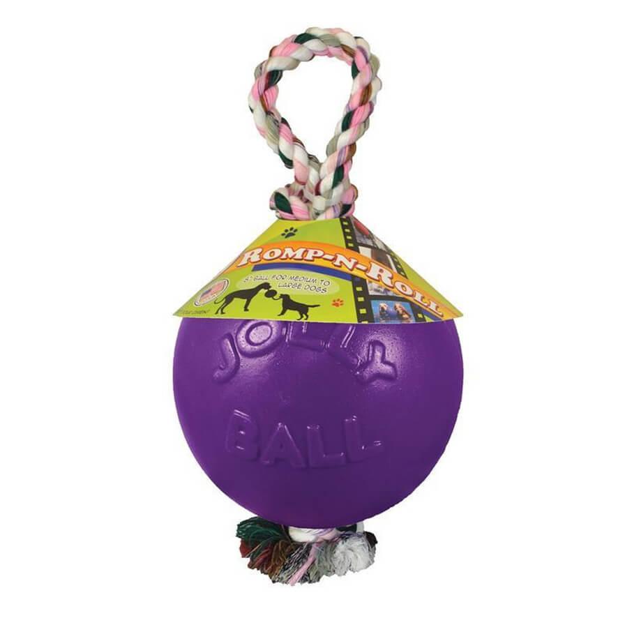 Romp- N- Roll Dog Toy - 8 Inch