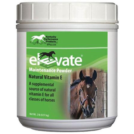 Elevate Maintenance Powder - 2 Lbs