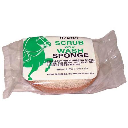 Hydra Scrub & Wash Sponge
