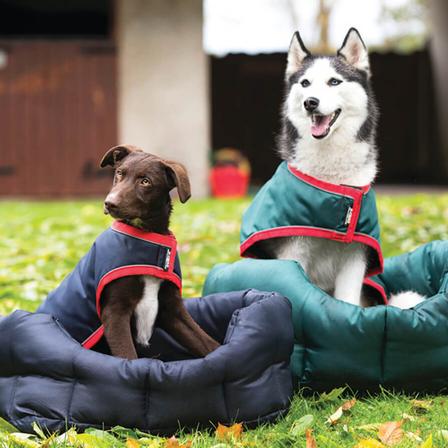 Rambo® 100G Waterproof Dog Rug NAVY/RED