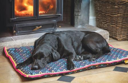 Digby & Fox Waterproof Dog Bed - Large DOG_HOUSE