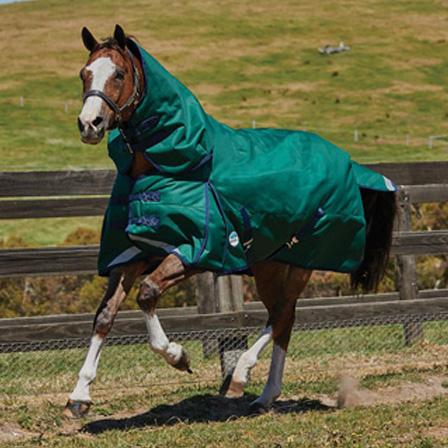 Weatherbeeta Comfitec Plus Dynamic Detach-A-Neck Medium Weight Turnout Blanket