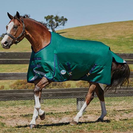 Weatherbeeta Comfitec Plus Dynamic Standard Neck Medium Weight Turnout Blanket Pony Sizes