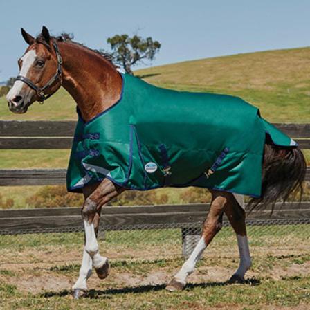 Weatherbeeta Comfitec Plus Dynamic Standard Neck Medium Weight Turnout Blanket