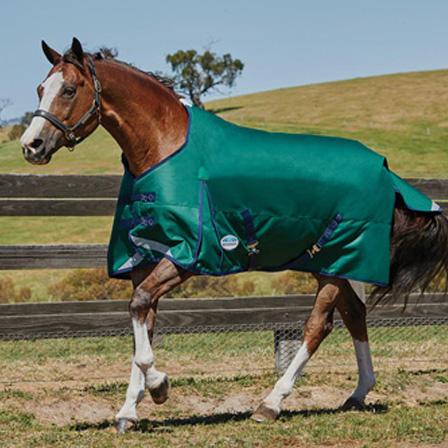 Weatherbeeta Comfitec Plus Dynamic Standard Neck Lite Weight Turnout Blanket