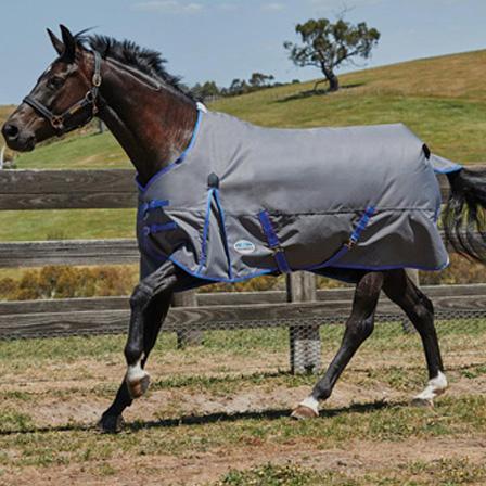 Weatherbeeta Comfitec Essential Standard Neck Medium Weight Turnout Blanket