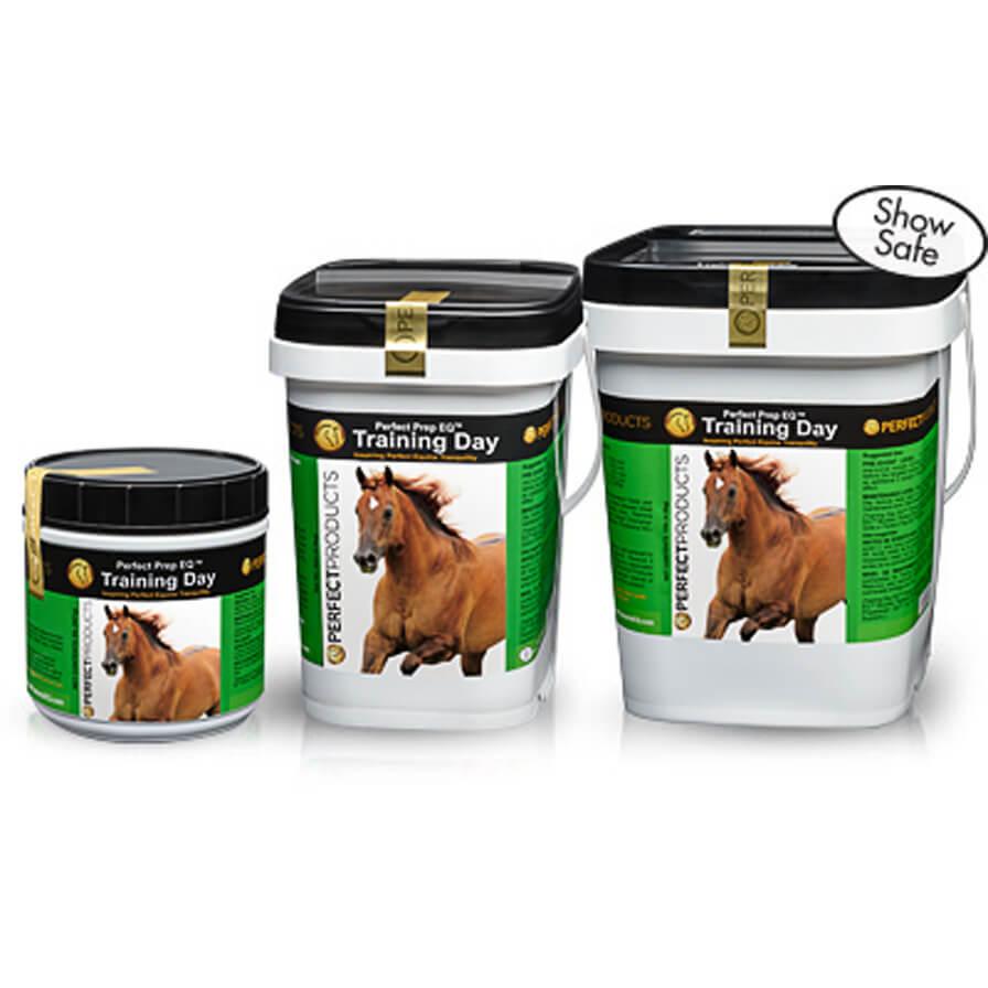 Perfect Prep Eq Training Day - 2 Lbs