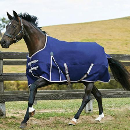 Comfitec Essential Standard Neck - Lite
