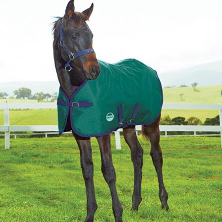 1200D Standard Neck Foal Blanket