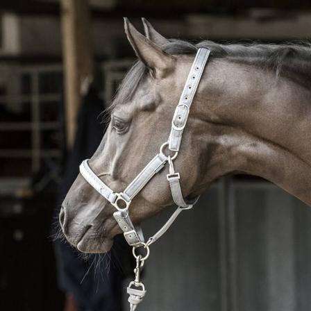 CATAGO® Diamond Halter