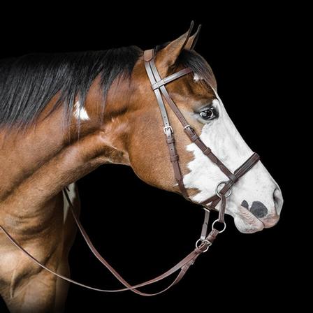 Bitless Bridle Beta Headstall - Large