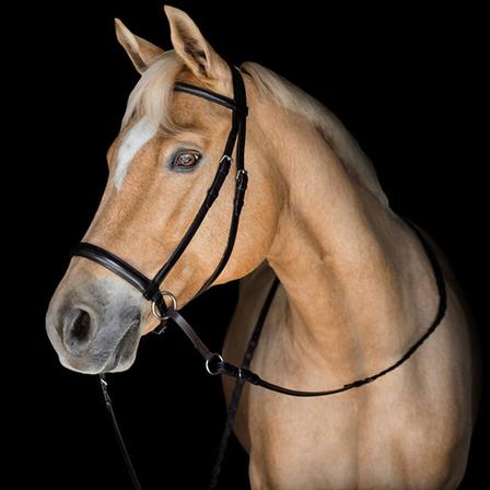 Bitless Bridle English Raised Headstall - Horse