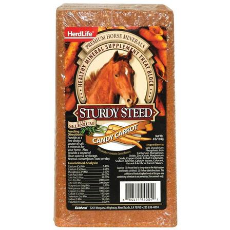 Sturdy Steed Horse Salt Block - Carrot