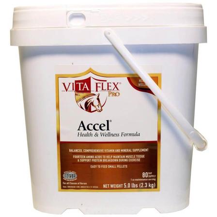 Accel Health and Wellness Pro - 40 Day
