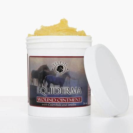 Calendula & Neem Wound Ointment - 16 Oz