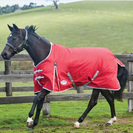 WeatherBeeta ComfiTec Classic Standard Neck Medium Turnout - Pony