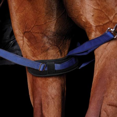 WeatherBeeta Padded Leg Straps