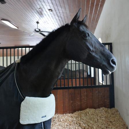 Blanket Bib