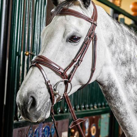 Prestige Italy E141 Bridle