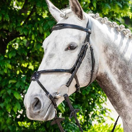 Prestige Italy E142 Bridle