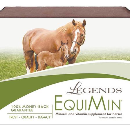 Southern States Legends EquiMin Mineral Block - 25 Lbs