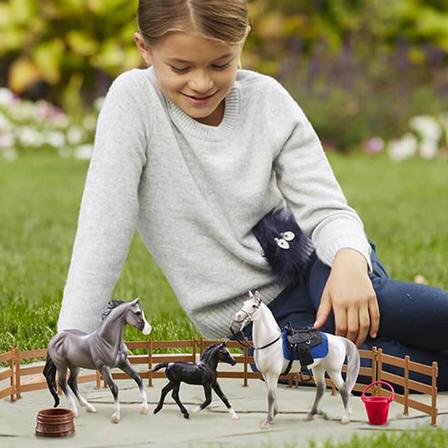 Breyer Heroes of the West